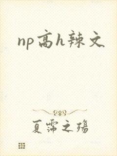 np高h辣文