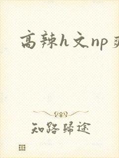 高辣h文np爽