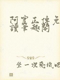 《阿宾正传免费阅读笔趣阁》小说封面