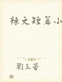 辣文短篇小说封面