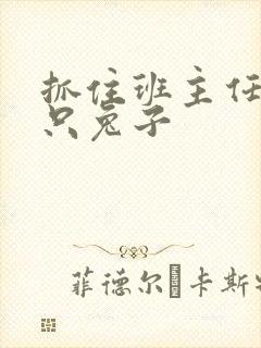 抓住班主任的两只兔子