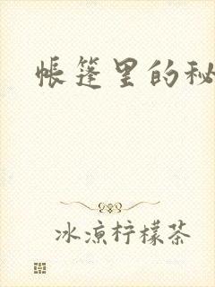 《帐篷里的秘密》小说封面