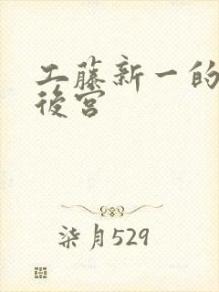 工藤新一的日本后宫