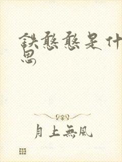 铁憨憨是什么意思