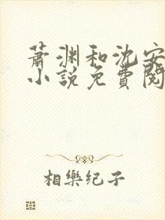 萧渊和沈安安的小说免费阅读