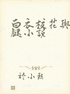 白衣校花与大长腿小说