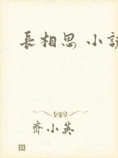 长相思 小说