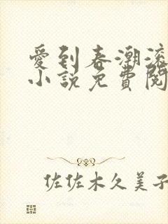 爱到春潮滚滚来小说免费阅读