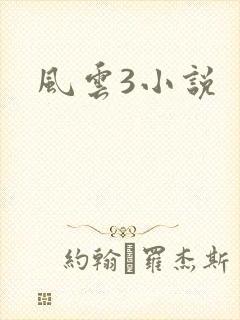 风云3小说