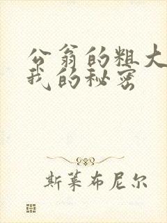 公翁的粗大放进我的秘密