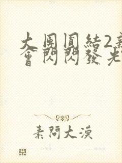 大团圆结2亲情会闪闪发光