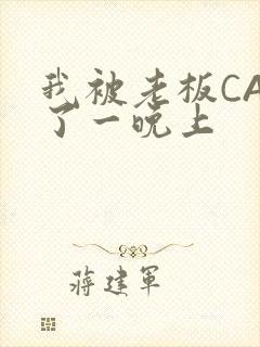 我被老板CAO了一晚上