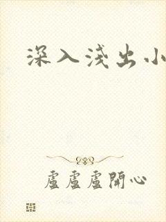 深入浅出小说