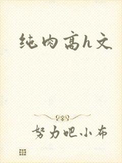 纯肉高h文
