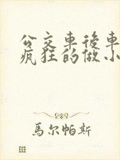 公交车后车座的疯狂的做小