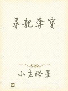 寻龙夺宝