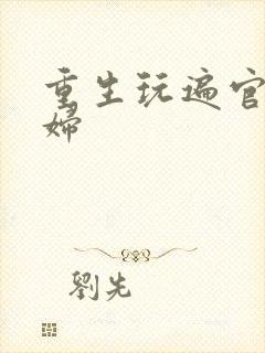 重生玩遍官场贵妇