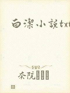 白洁小说txt