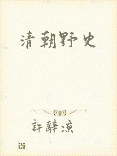 清朝野史
