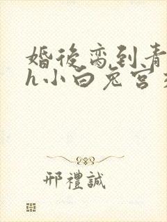 婚后脔到青梅哭h小白兔宫交h