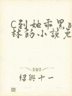 C到她乖黑暗森林的小说免费