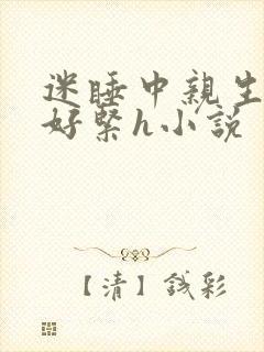 《迷睡中亲生乖女好紧h小说》小说封面