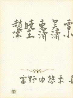 赵晓东吴雪晴郑伟王潇潇小说名字