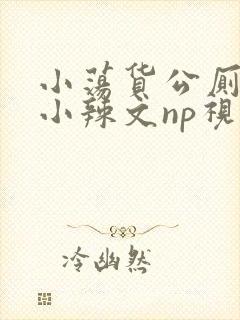 小荡货公厕h文小辣文np视频