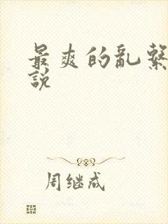 最爽的乱系列小说