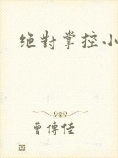 绝对掌控小说