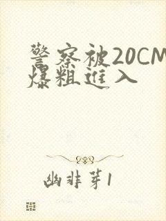 警察被20CM爆粗进入