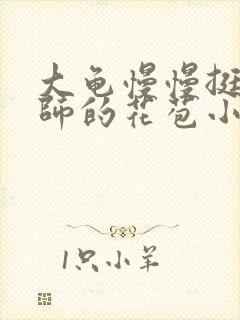 大龟慢慢挺进老师的花苞小说