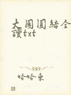 大团圆结全文阅读txt