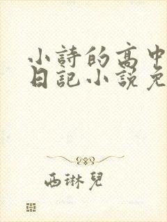小诗的高中成长日记小说免费阅读