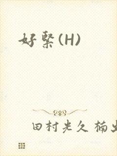 好紧(H)