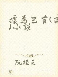 据为己有(高干)小说