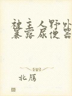 被主人野外调教暴露尿便器