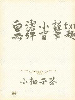 白洁小说txt无弹窗笔趣阁