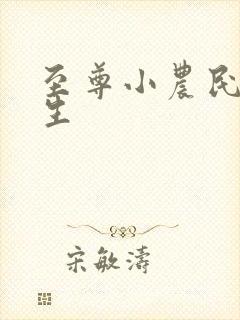 至尊小农民王木生