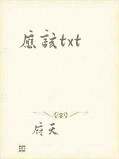 应该txt