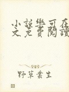 小说乐可在线全文免费阅读笔趣阁下载网站