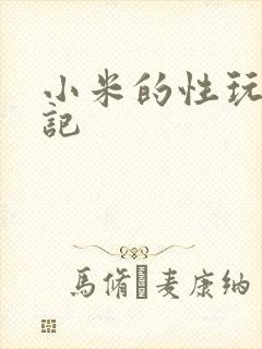 《小米的性玩具日记》小说封面