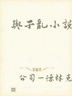 与子乱小说
