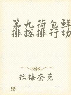 第九荷包鲜辣肉排总排行功能介绍