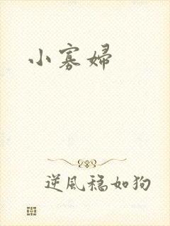 小寡妇封面