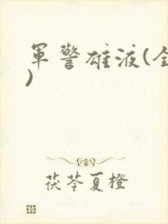军警雄液(全篇)
