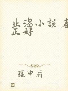 止渴小说 春光正好