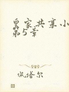 皇家共享小公主第5章