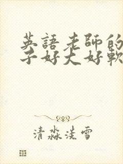 英语老师的小兔子好大好软水