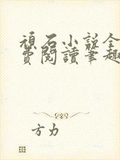 顽石小说全文免费阅读笔趣阁